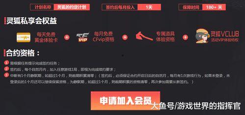 挚爱之约爆料视频网址,视频网址背后的浪漫故事