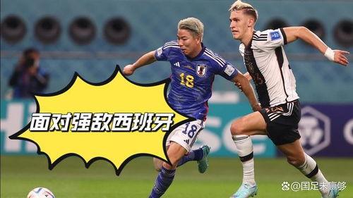 日本世界杯爆料最新消息,神秘阵容浮现，关键战策略曝光